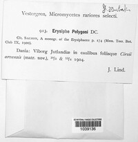 Image Associated With the Occurence